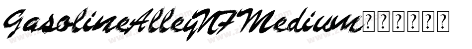 GasolineAlleyNF Medium字体转换